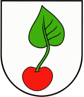 Obec Višňové